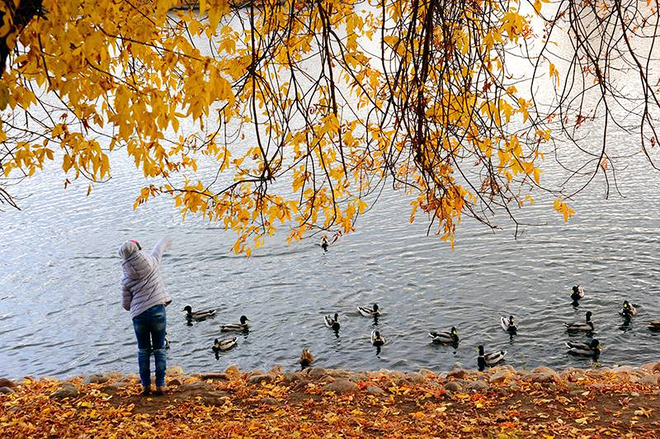 mùa thu nước Nga